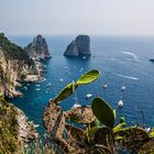 Capri