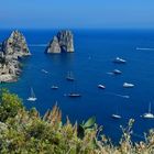 Capri: Faraglioni