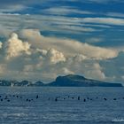 Capri mit Wolken