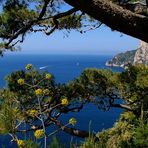 Capri panorama