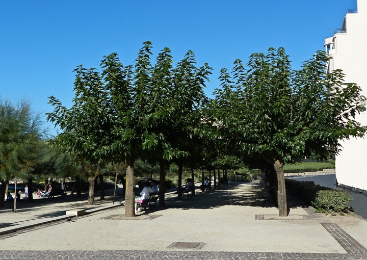 caprice de la météo 2