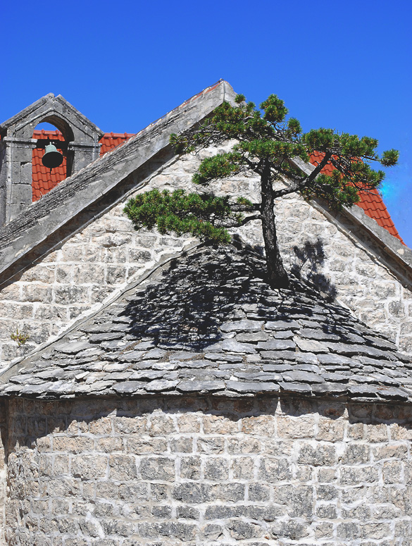 Caprice de la nature, île de Brac