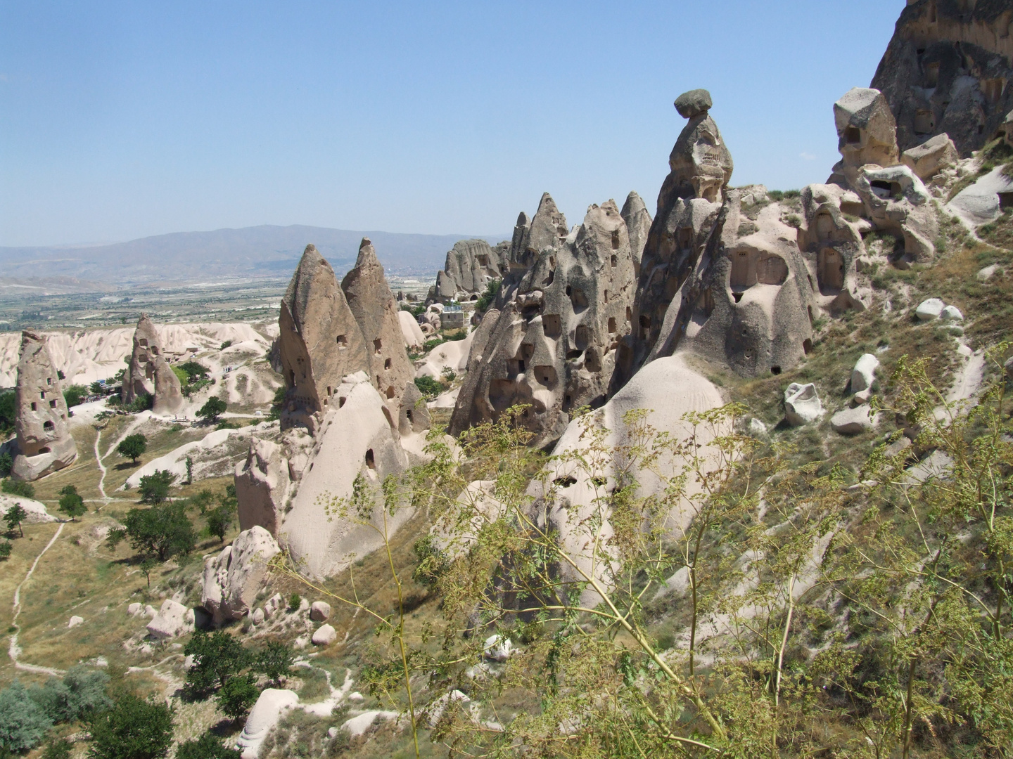 Caprichos de la naturaleza