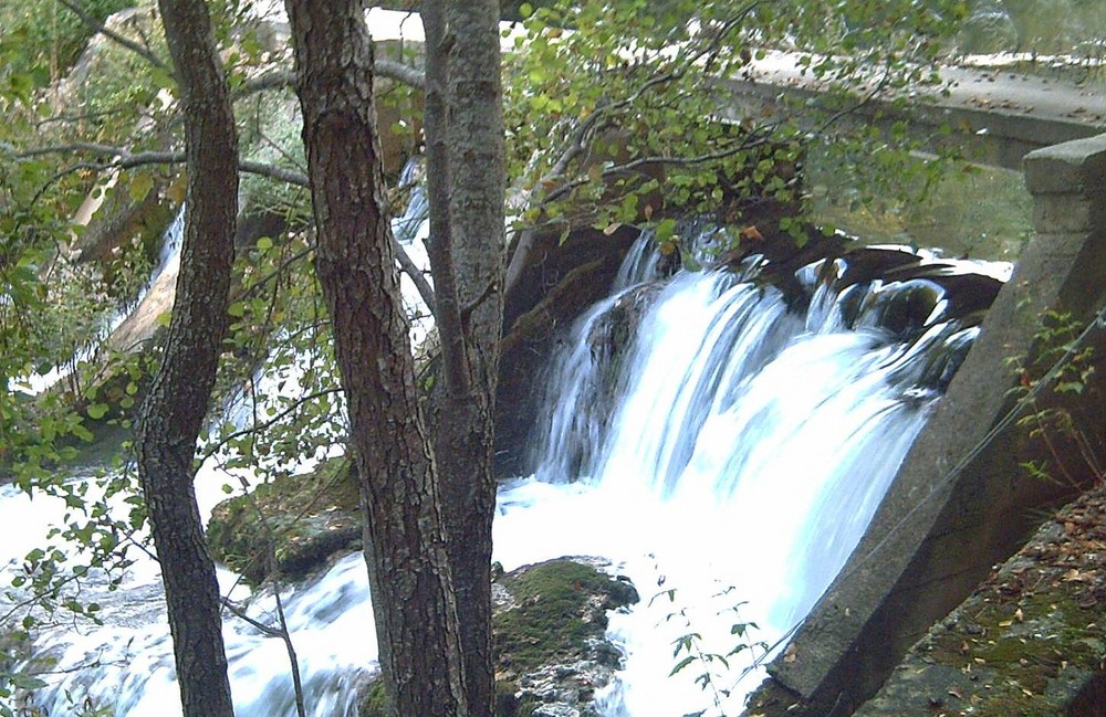 Caprichos del Agua