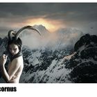 Capricornus