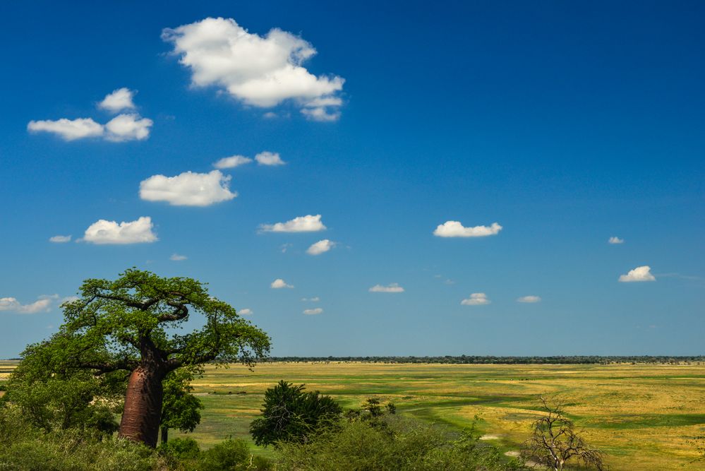 Caprivi