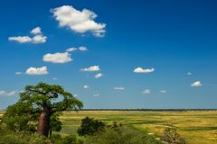 Caprivi