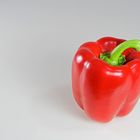 ... Capsicum ...