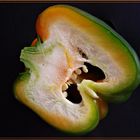 Capsicum