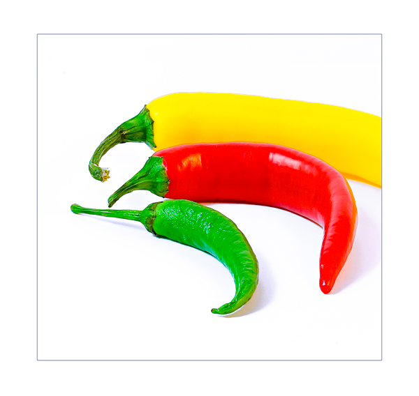 Capsicum