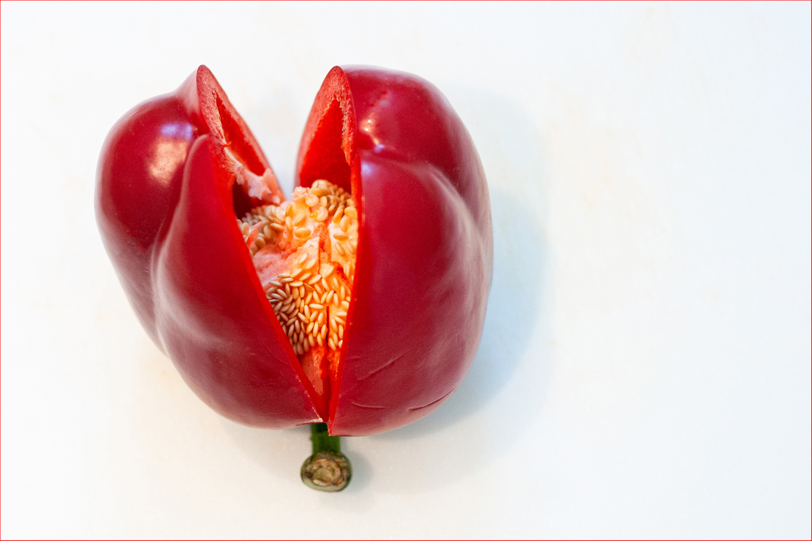 Capsicum (lat.)