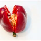 Capsicum (lat.)