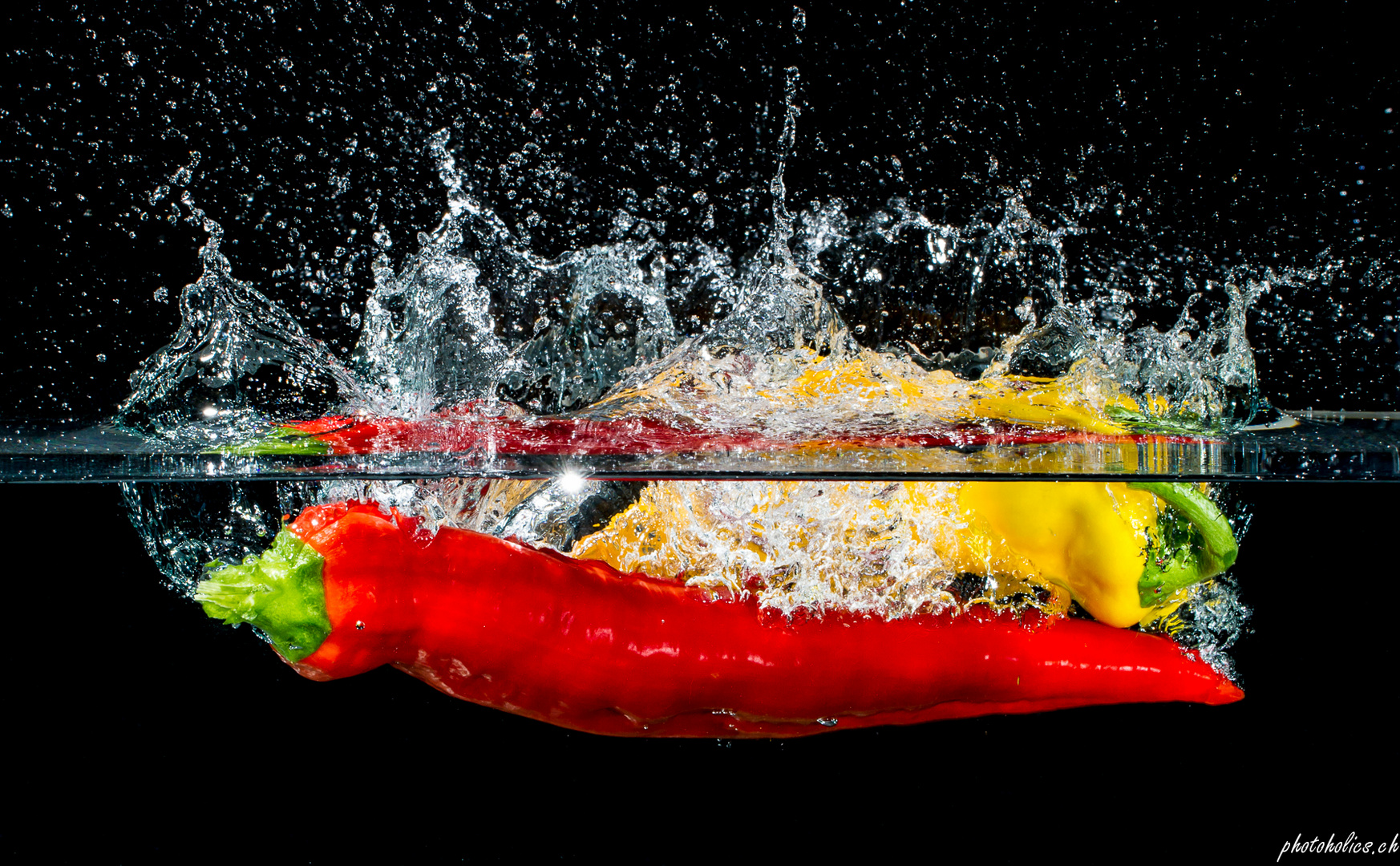 Capsicum splish splash