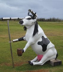 Captain Cow-Hook auf Wale-Ausschau...