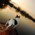 Captain JACK (Russel) auf See...