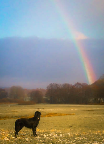 Captain und Regenbogen