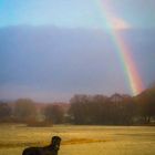 Captain und Regenbogen