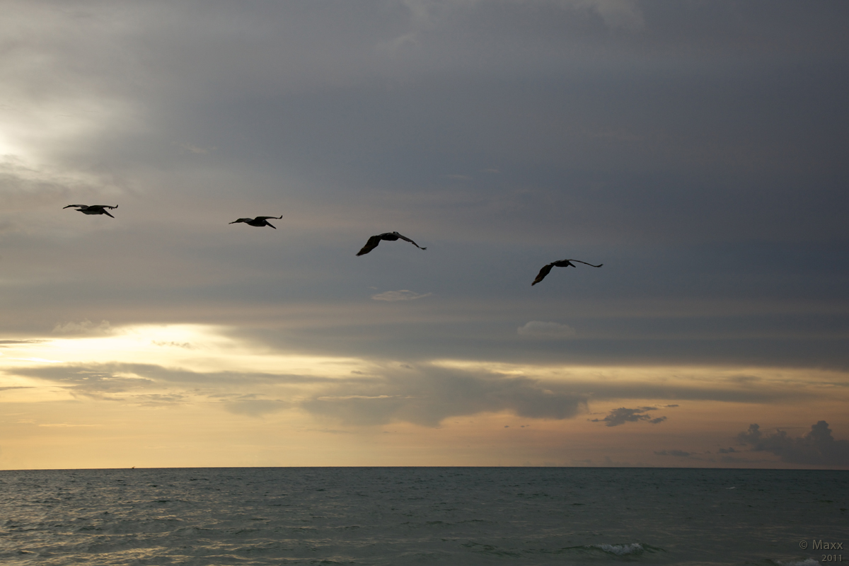 Captiva Sunset