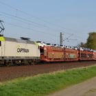 Captrain-Pony bei Woltorf