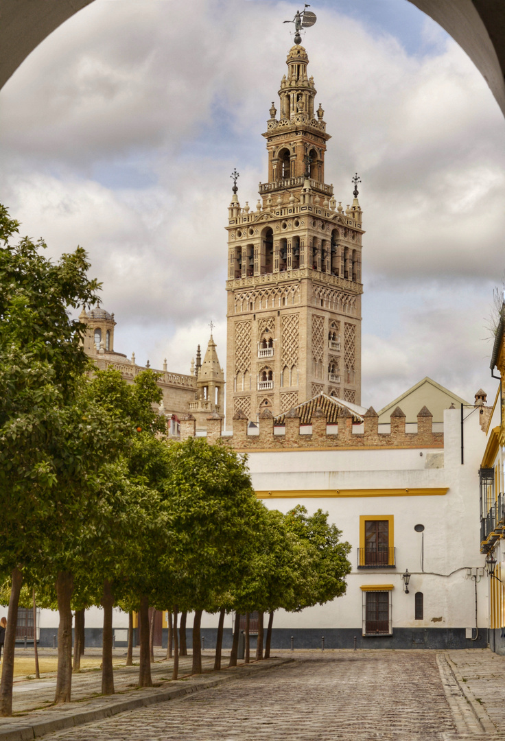 Capturas de paseos y sus momentos.