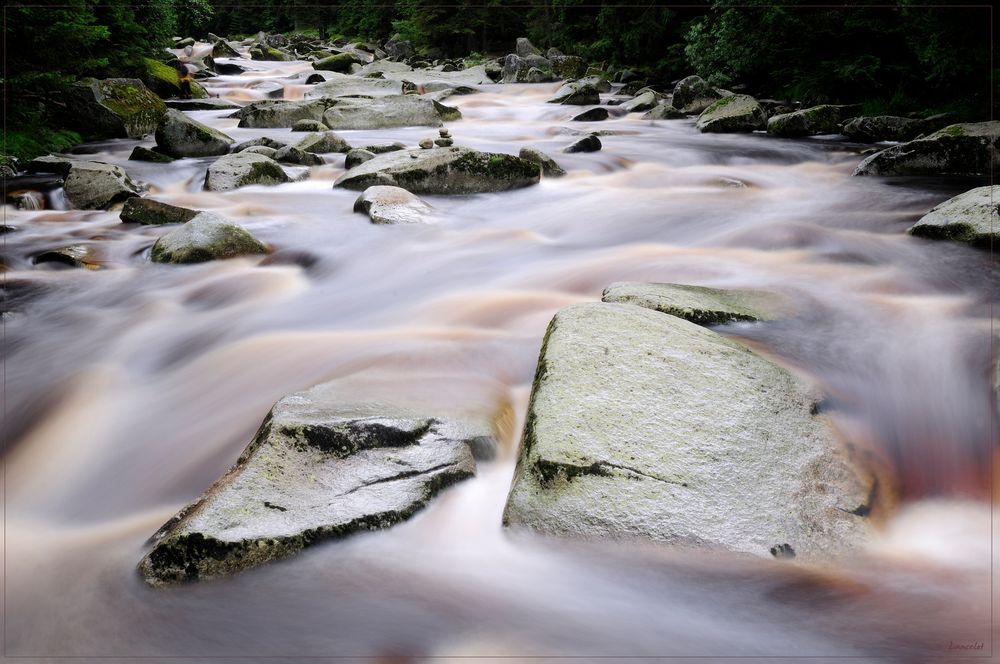 Capuccino River