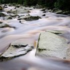 Capuccino River