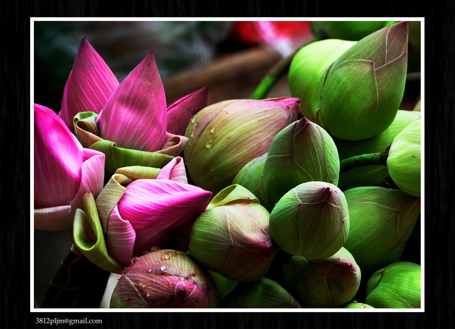 Capullos...en flor...