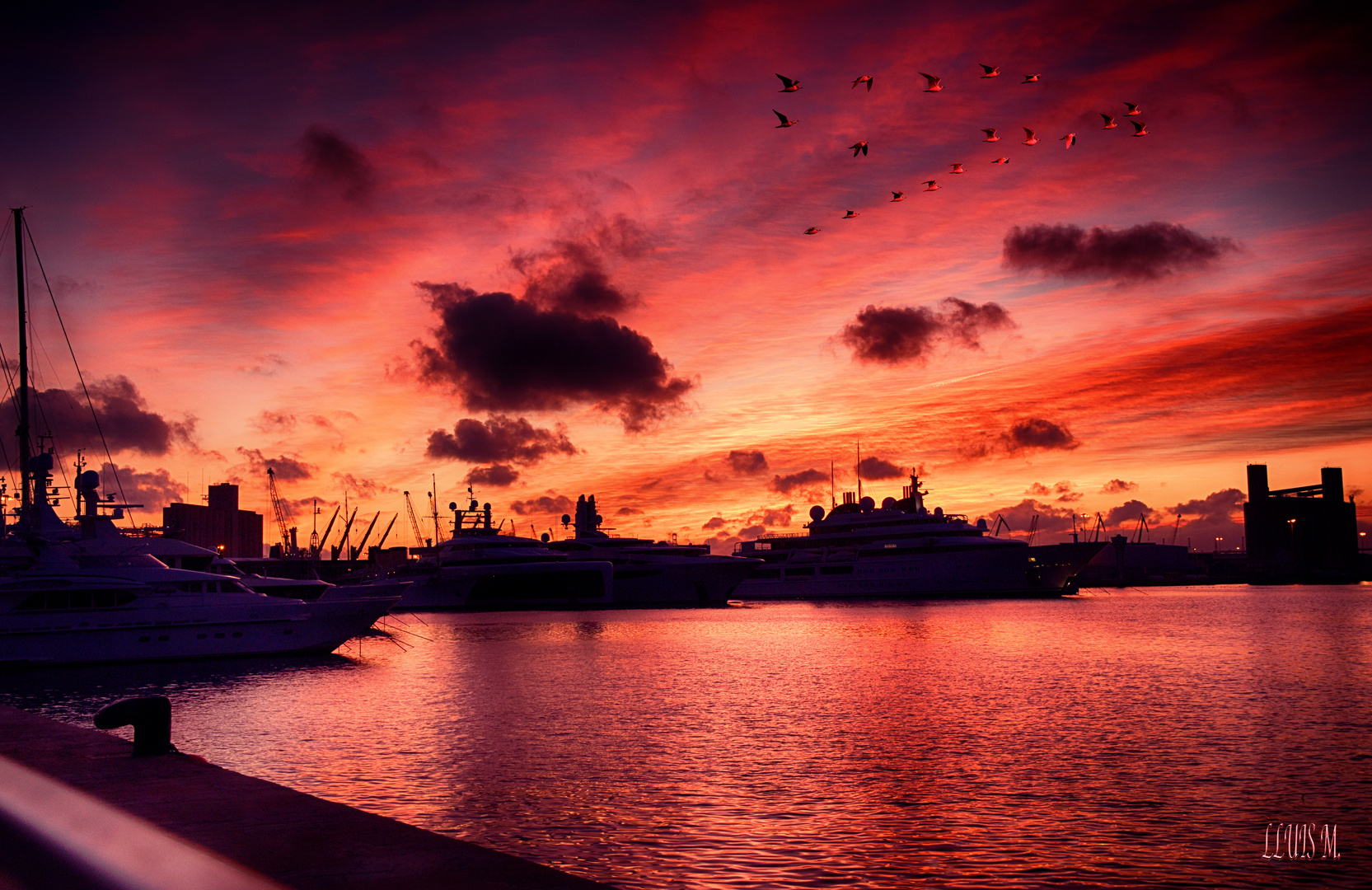 CAPVESPRE AL PORT DE TARRAGONA.