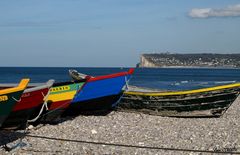 Caïques multicolores.