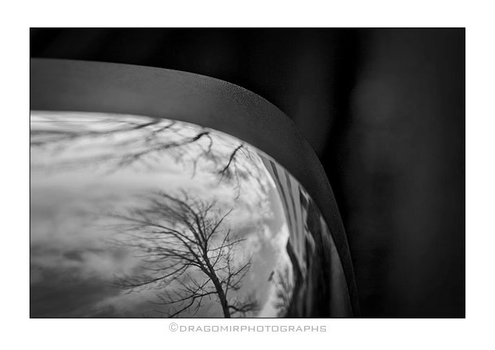 Car and Tree 