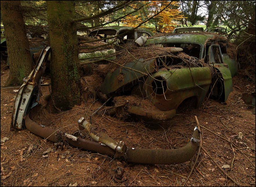 Car Cemetary