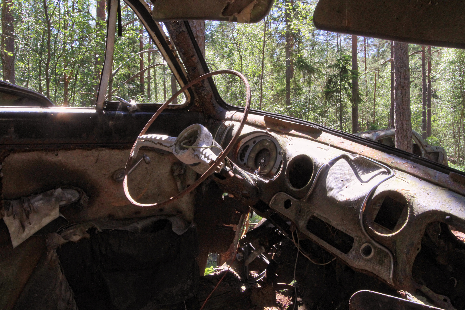 Car graveyard Kyrkö mosse III - the last shine in the sun