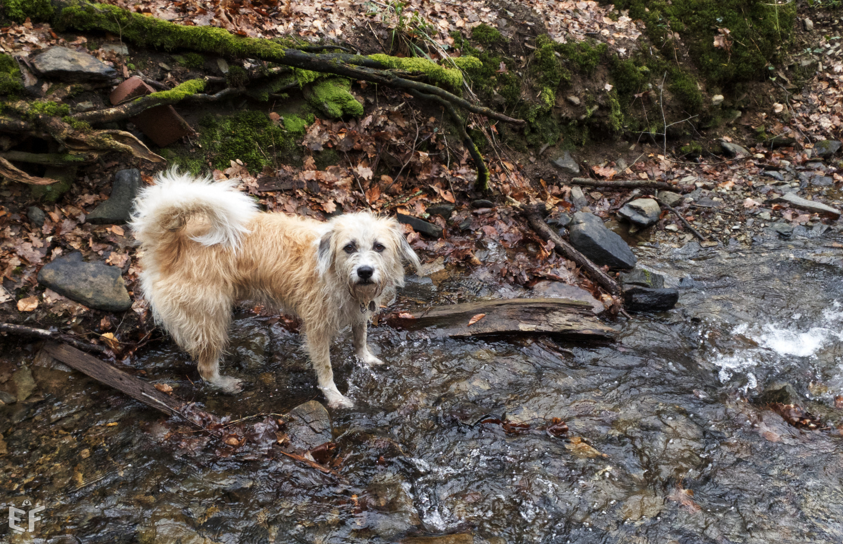 Cara-Gluederwanderung_21032021