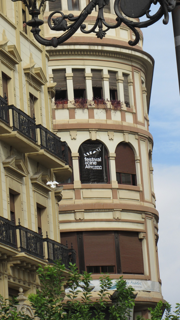 CARA MONSTRUOSA EN CORDOBA