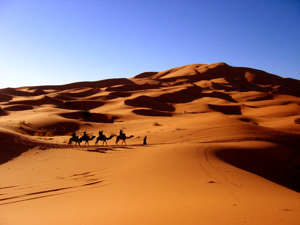 Carabana a Merzouga