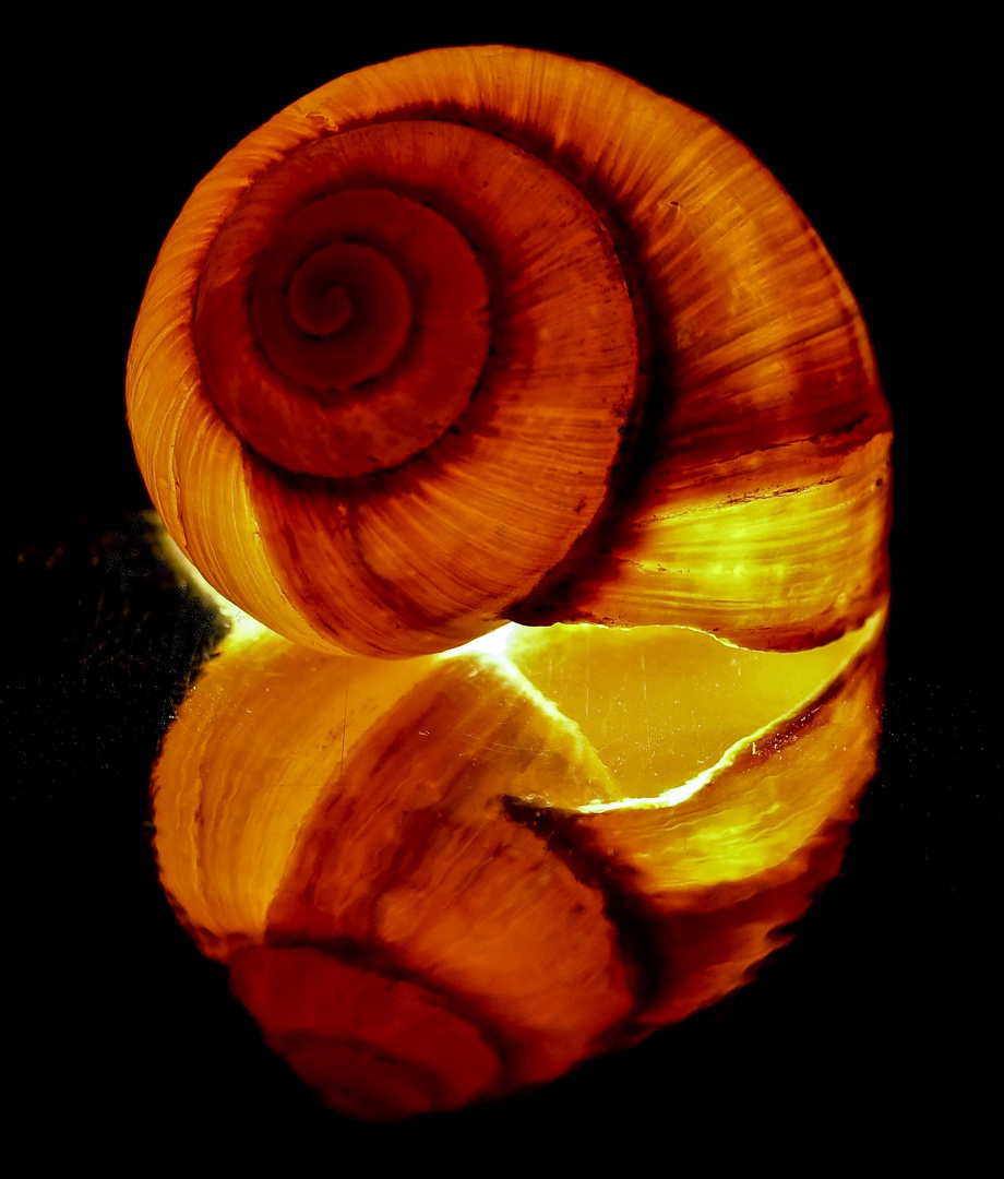 Caracol