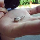 Caracol