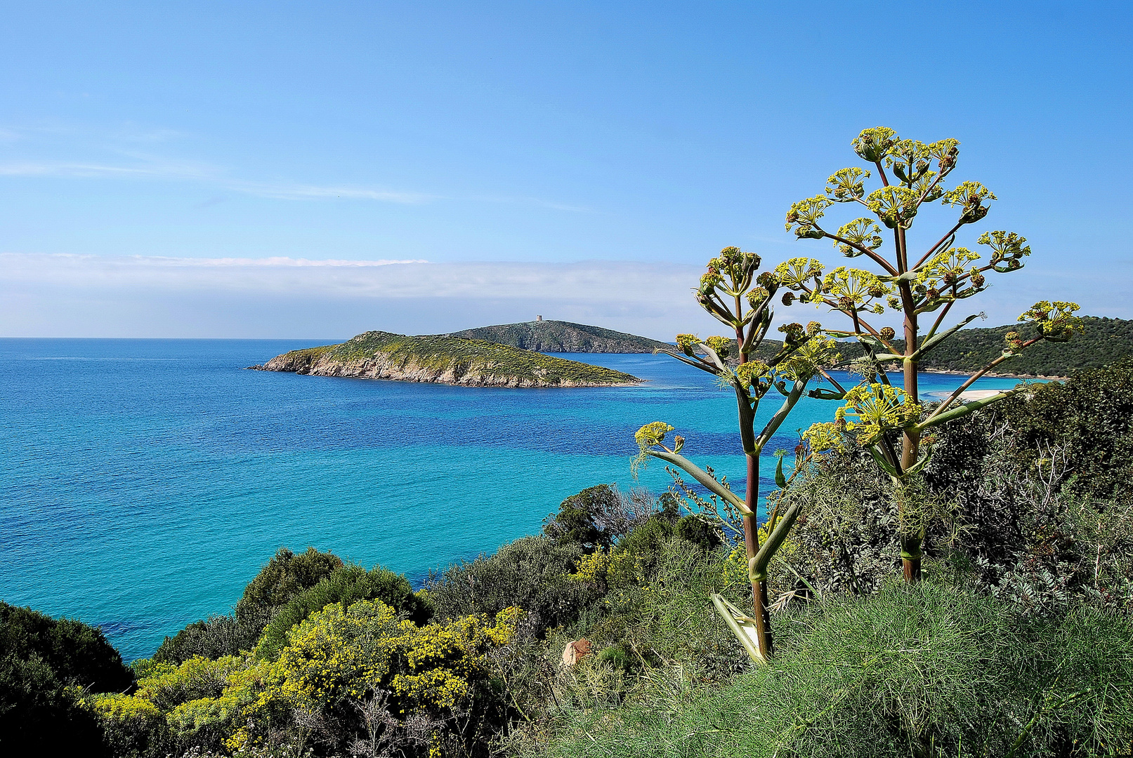 Caraibico Mediterraneo