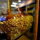 Caramel Apples