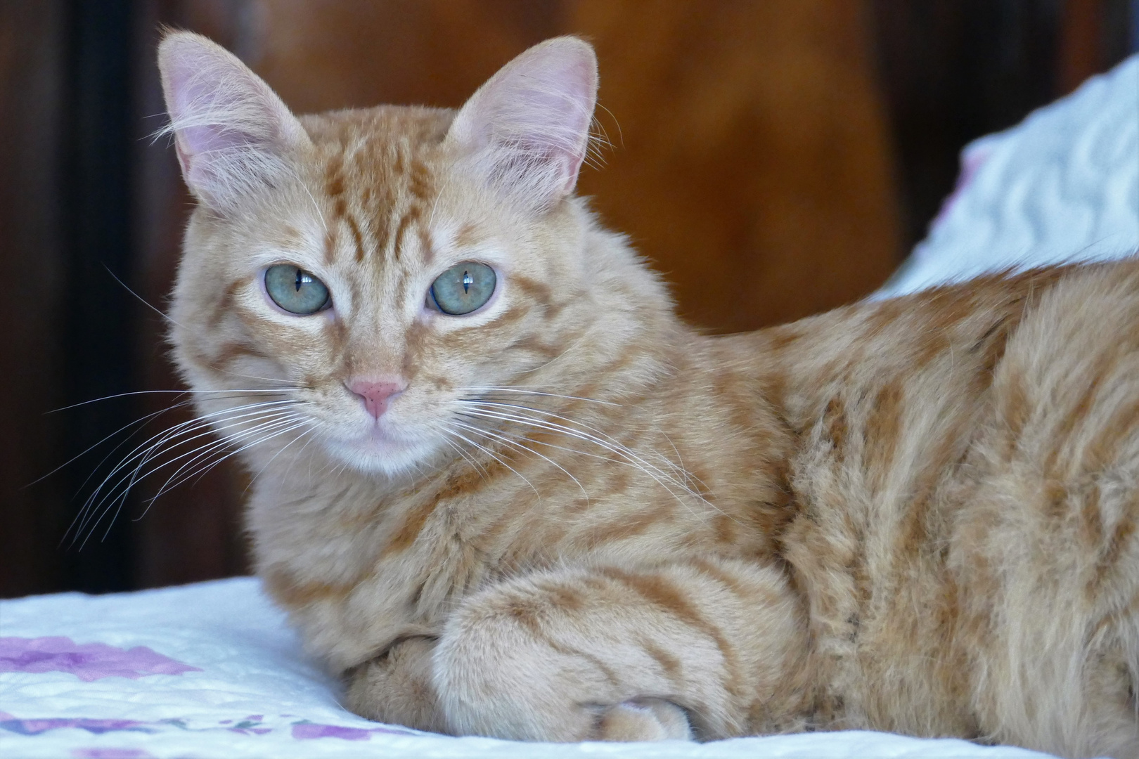 caramelle est plus blonde que rousse....comme moi!!!!!!