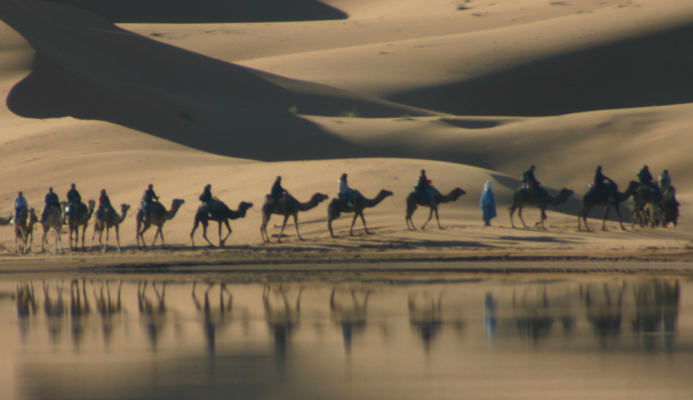 Caravan