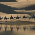Caravan
