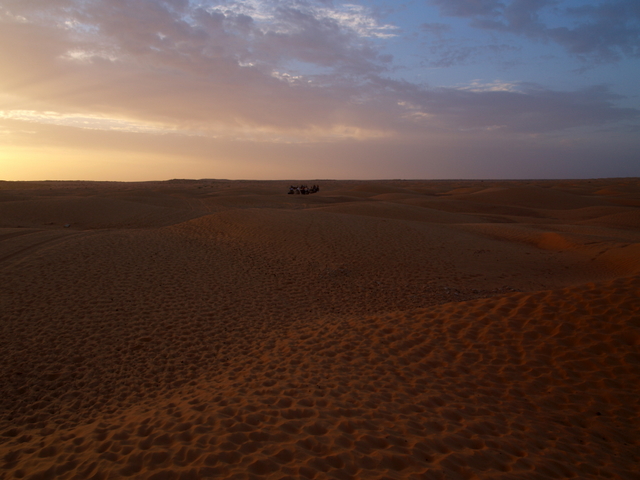 caravane dans le desert tunisien