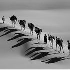 caravane des ombres