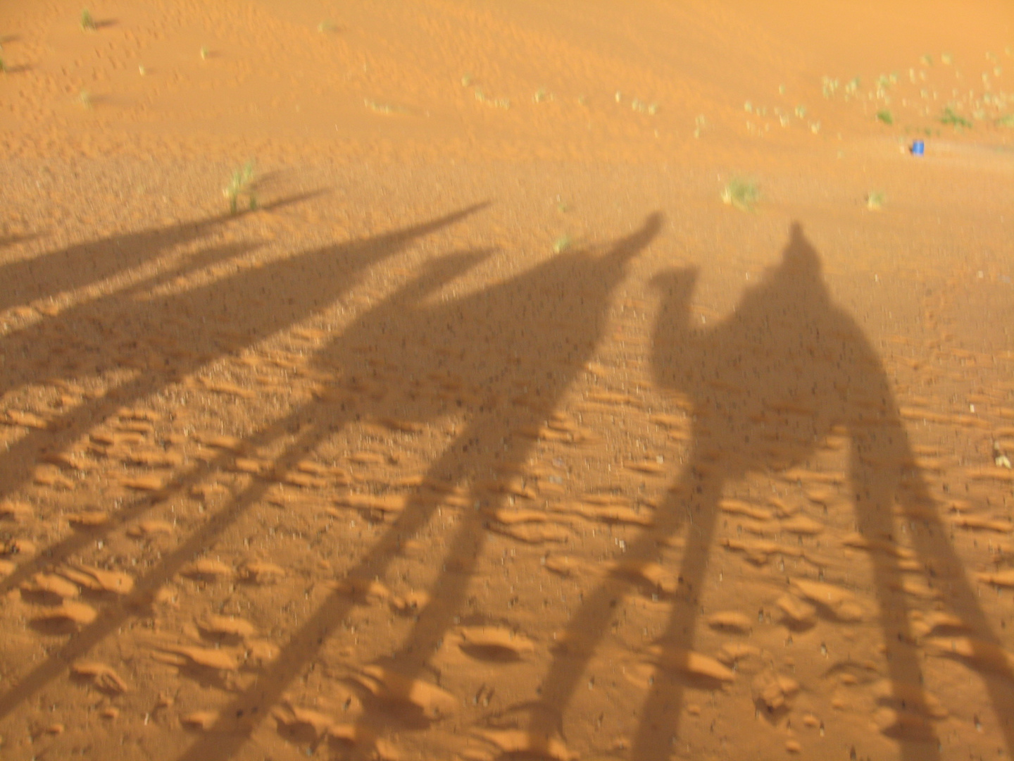 Caravane in der Wüste