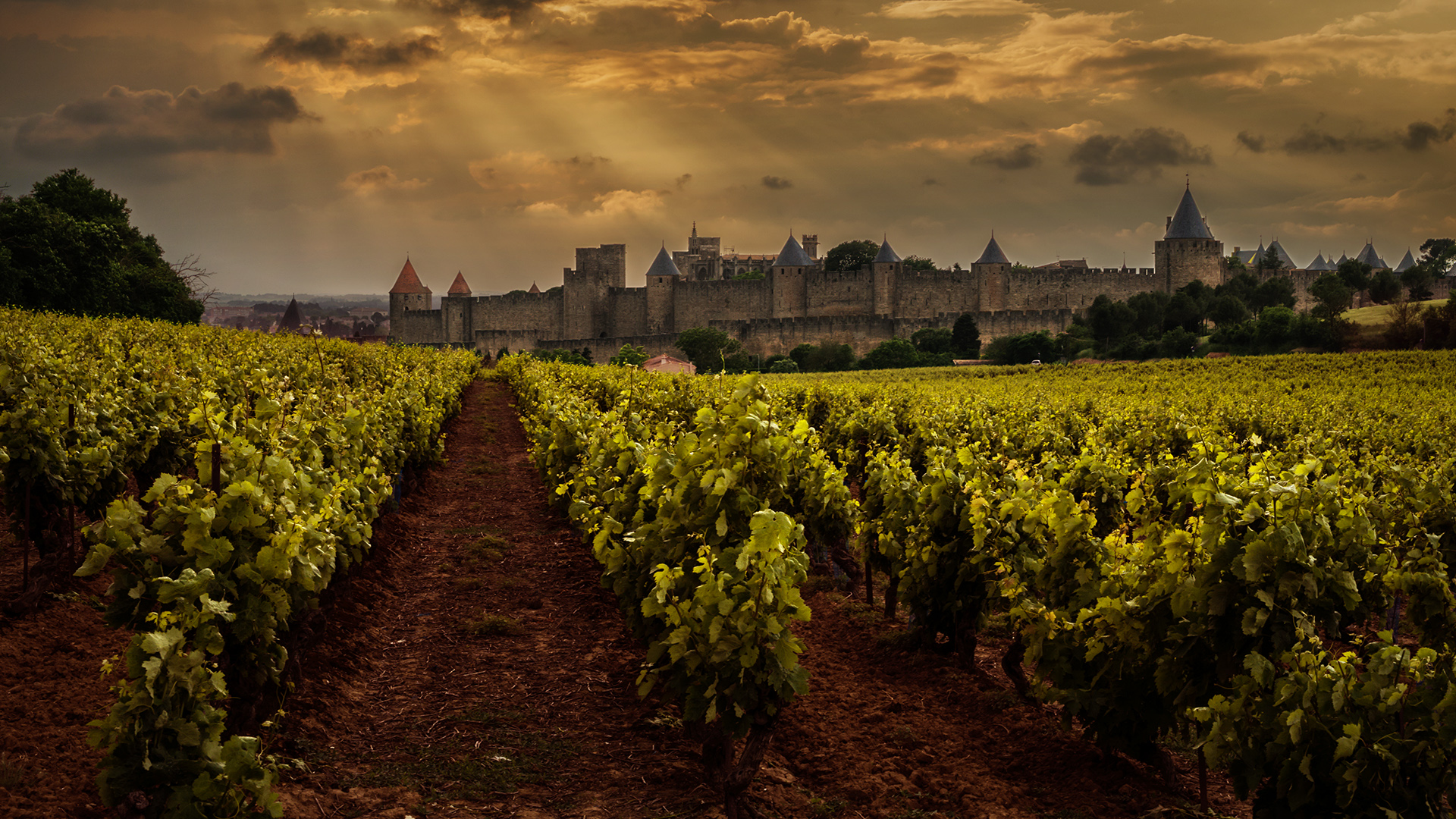 Carcassonne