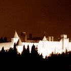 Carcassonne 1