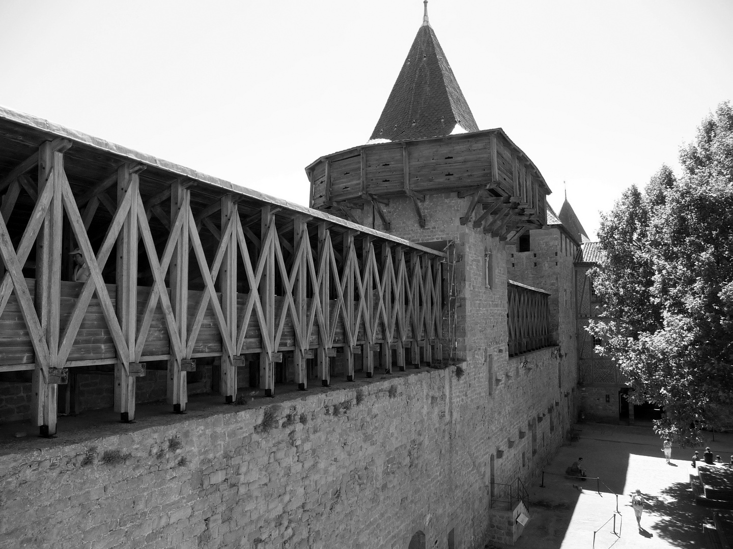 CARCASSONNE 15