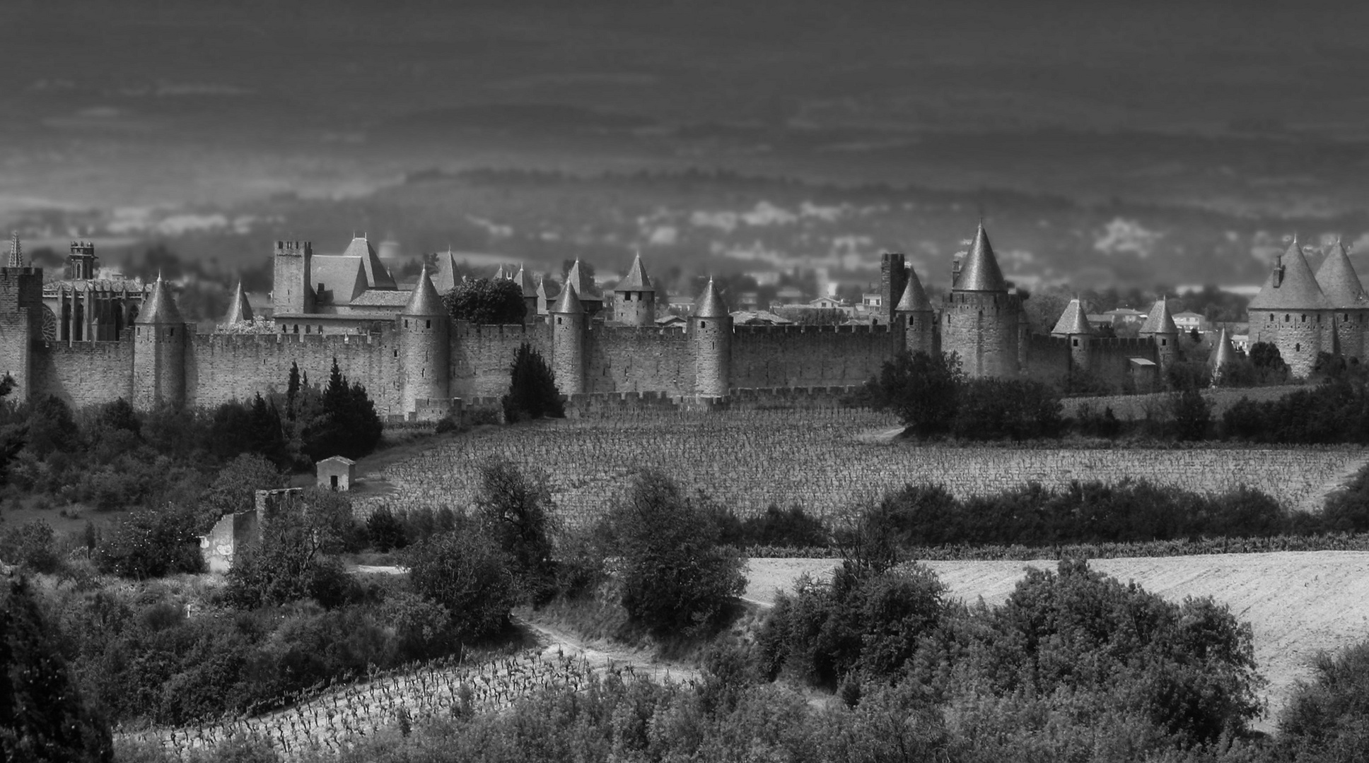 Carcassonne (2)