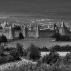 Carcassonne (2)